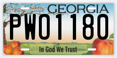 GA license plate PWO1180