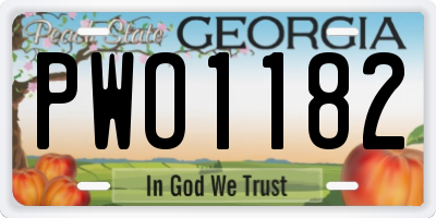 GA license plate PWO1182
