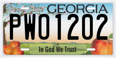 GA license plate PWO1202