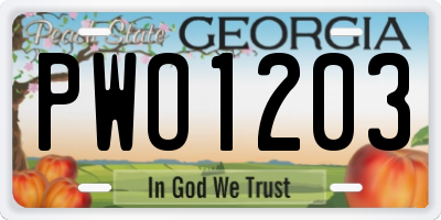 GA license plate PWO1203