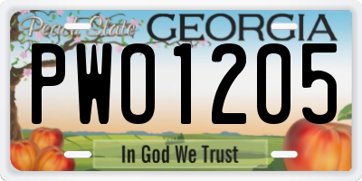 GA license plate PWO1205