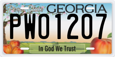 GA license plate PWO1207