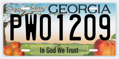 GA license plate PWO1209