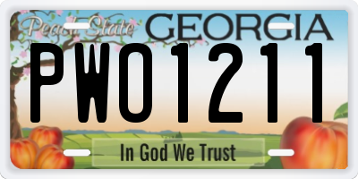 GA license plate PWO1211