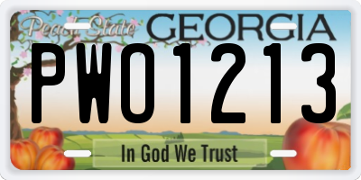 GA license plate PWO1213
