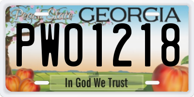 GA license plate PWO1218