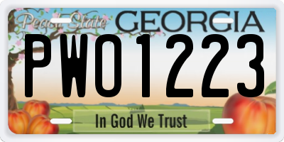GA license plate PWO1223