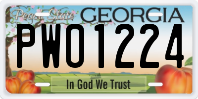 GA license plate PWO1224