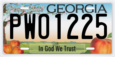 GA license plate PWO1225