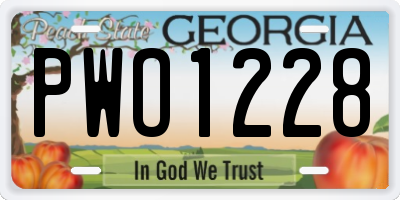 GA license plate PWO1228
