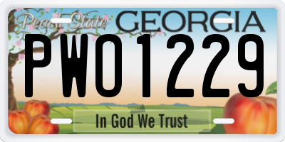 GA license plate PWO1229
