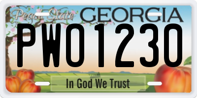 GA license plate PWO1230