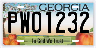 GA license plate PWO1232