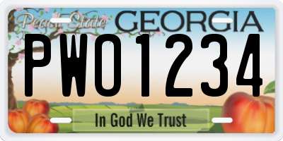 GA license plate PWO1234