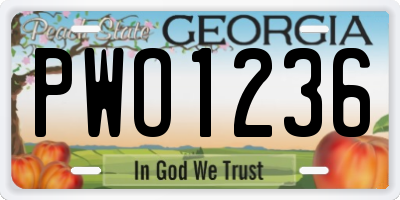 GA license plate PWO1236