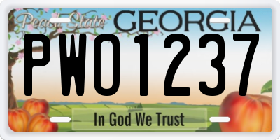 GA license plate PWO1237