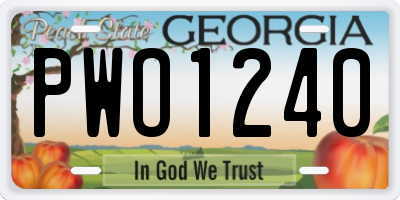 GA license plate PWO1240