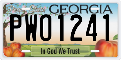 GA license plate PWO1241