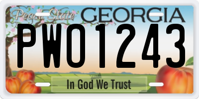 GA license plate PWO1243
