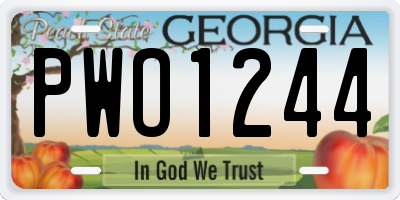 GA license plate PWO1244