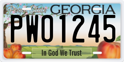 GA license plate PWO1245