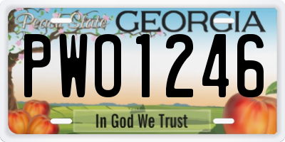GA license plate PWO1246