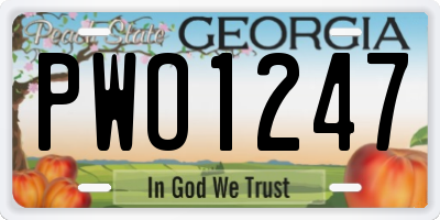 GA license plate PWO1247