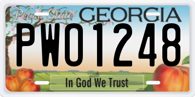 GA license plate PWO1248