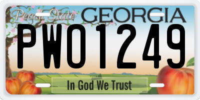 GA license plate PWO1249