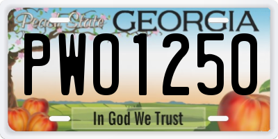 GA license plate PWO1250