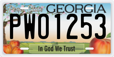 GA license plate PWO1253