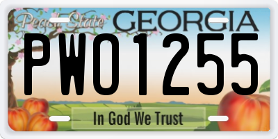 GA license plate PWO1255