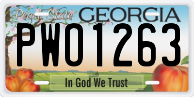 GA license plate PWO1263