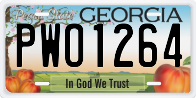 GA license plate PWO1264