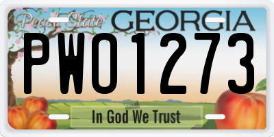 GA license plate PWO1273