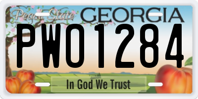 GA license plate PWO1284