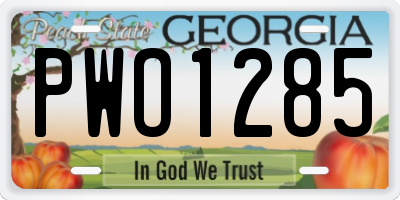 GA license plate PWO1285