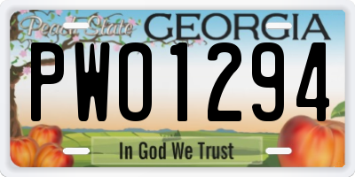 GA license plate PWO1294