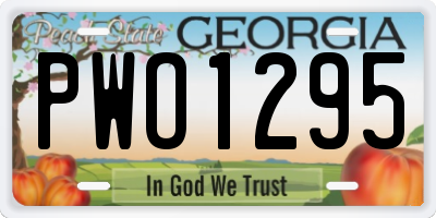 GA license plate PWO1295