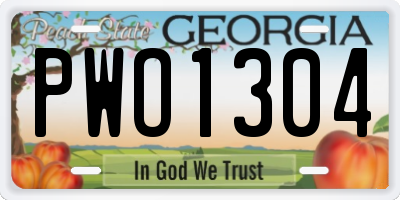 GA license plate PWO1304