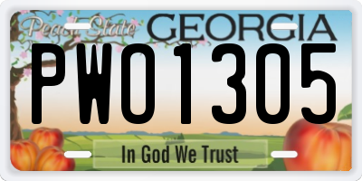 GA license plate PWO1305