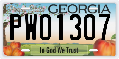 GA license plate PWO1307