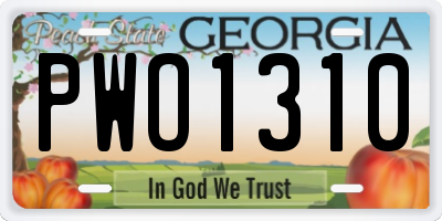 GA license plate PWO1310