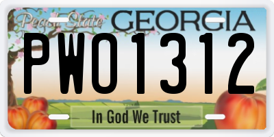 GA license plate PWO1312