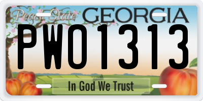 GA license plate PWO1313