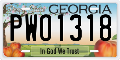 GA license plate PWO1318