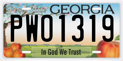 GA license plate PWO1319