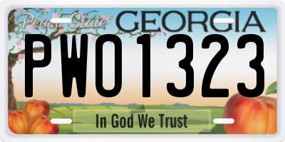 GA license plate PWO1323