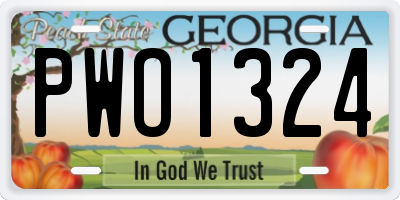 GA license plate PWO1324