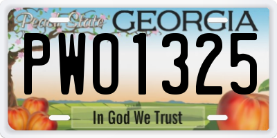 GA license plate PWO1325
